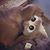 Annette Shelley's profile image