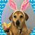Amy Filion's profile image