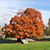 Martha Choate Richardson's profile image