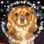 Prudence A. Geisel's profile image