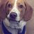 Ric Basen's profile image