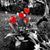 Tabitha Arnold's profile image
