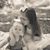 Melissa Emmer Snelson's profile image