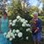 Dale Hadlock's profile image