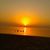 Marietta Lapuz's profile image