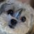 Jo Clark's profile image