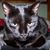 Lynda Munch's profile image