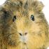 JAUNITA Q.'s profile image