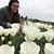 Anaidah Garcia-Corona's profile image