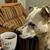 Pagie Lynn's profile image
