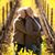 Martin Smithies's profile image