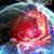 Michael Xavier's profile image