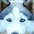 Amy Hancock's profile image