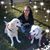 Patti Little's profile image