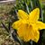 Hardy Whiteman's profile image
