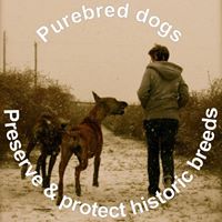 Kristi Allison's profile image