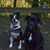 Marie Ferks's profile image