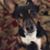 Michael Conners's profile image