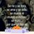 Alejandro Marcelo Campos's profile image