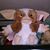 Haziel Garcia's profile image