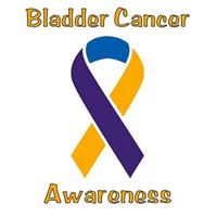 Scott Bump's profile image