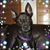 Terisa Misner's profile image