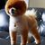 Beth Schlegel's profile image