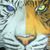 Steven Richardson's profile image