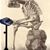 Ann Meissner Sawyer's profile image