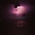 Yogee Elbridge's profile image