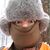 Paul Cecchini's profile image