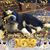 Sherrill Bull's profile image