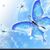 Sonia Nava's profile image