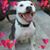 Emiro Gonzales's profile image