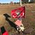 Terri Davis's profile image