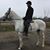 Peter Wass's profile image