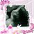 Angel Cova's profile image
