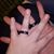 Sloan Jackson's profile image