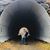 Jillian Quain's profile image