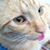 Susan Gainoutdinov's profile image