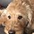 Lisa Werkley Frank's profile image