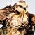 Andrea Ludwig Adair's profile image