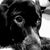 Jamey Crutchfield's profile image