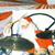 Ray Tardiff's profile image