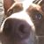 Jeannine Corbin's profile image