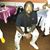 Derrick Brown's profile image