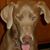 Farol M Buettemeyer's profile image