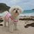 Marianne Calabrese's profile image