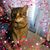Jennifer Lynne Fowler's profile image