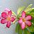 Nancy Morelock Moreno's profile image